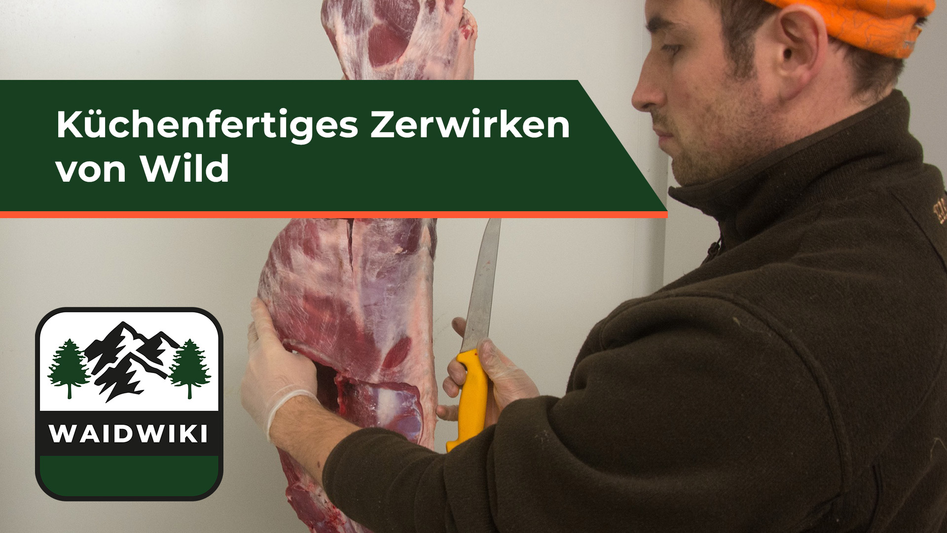 Küchenfertiges Zerwirken von Wild - Wildbrethygiene 