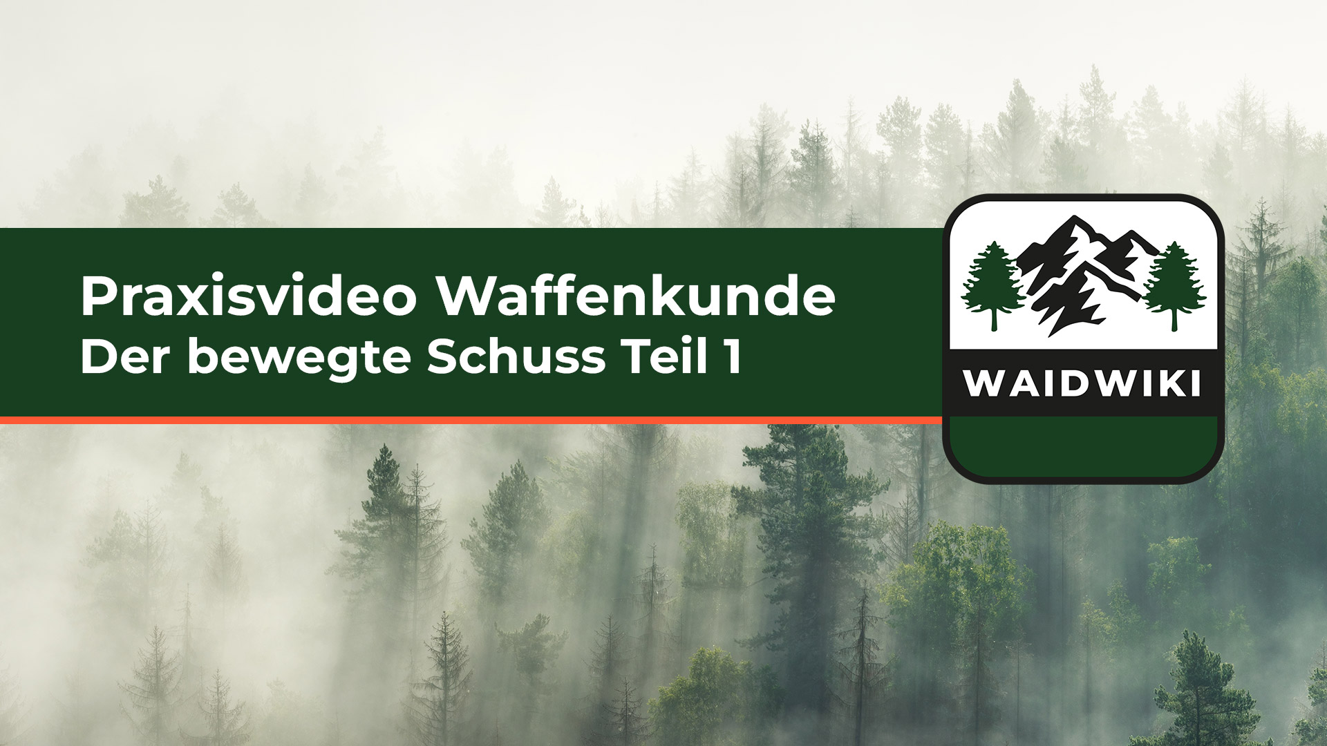Der bewegte Schuss Teil 1 - Waffenkunde Praxisvideo