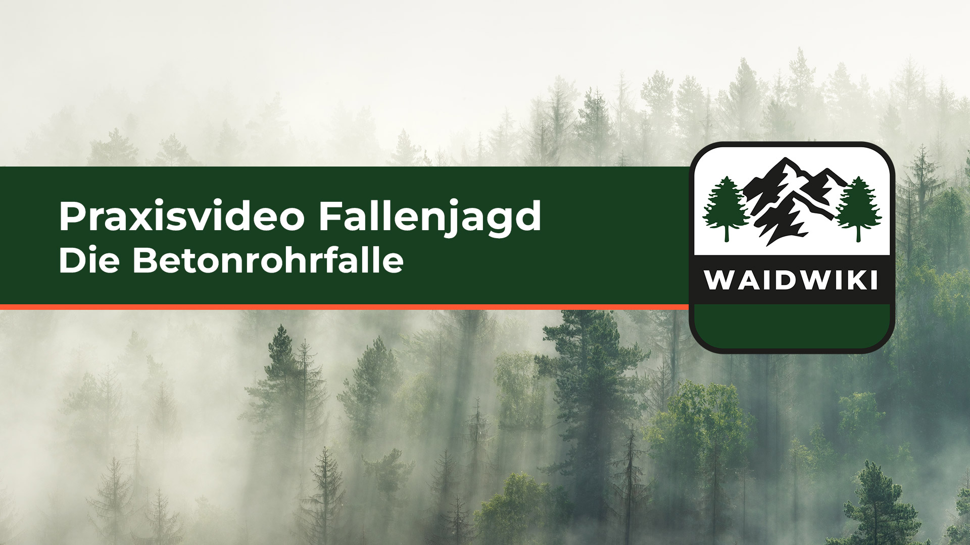 Die Betonrohrfalle - Praxisvideo Fallenjagd 