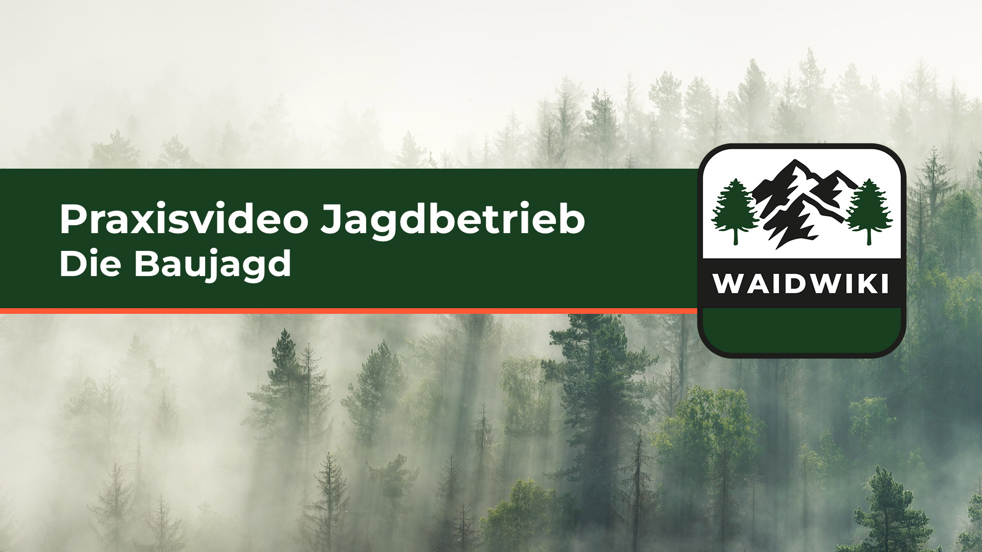 Die Baujagd Praxisvideo Jagdbetrieb