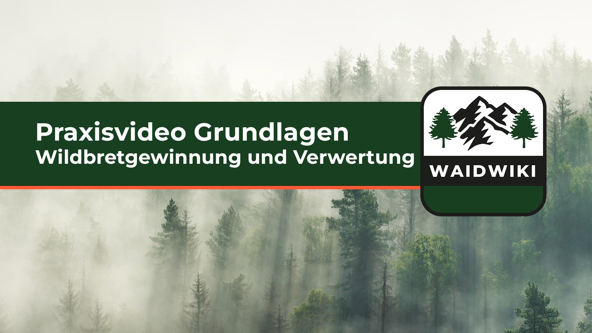 Grundlagen Wildbretgewinnung und Verwertung - Praxisvideo