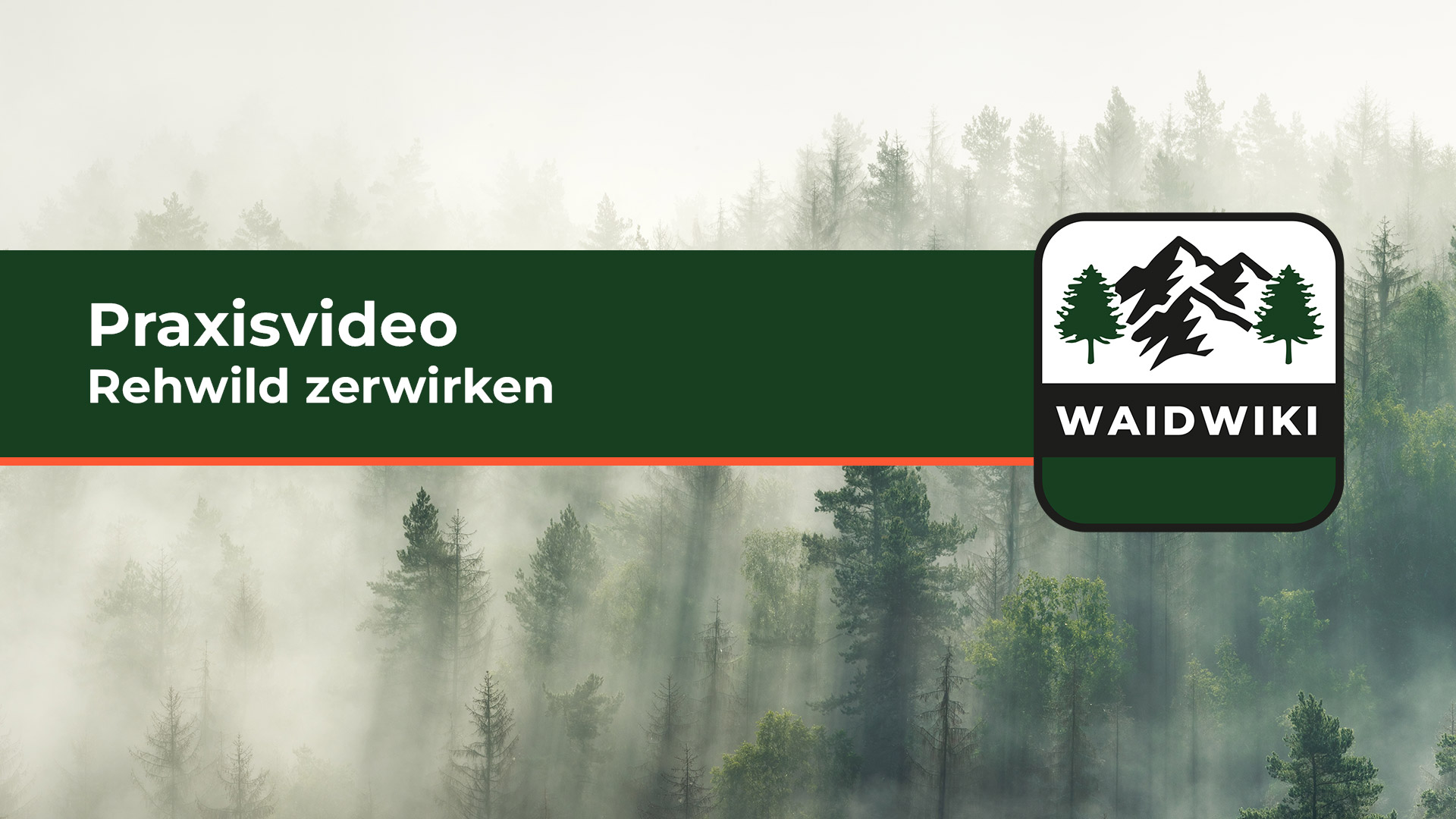 Rehwild zerwirken - Praxisvideo