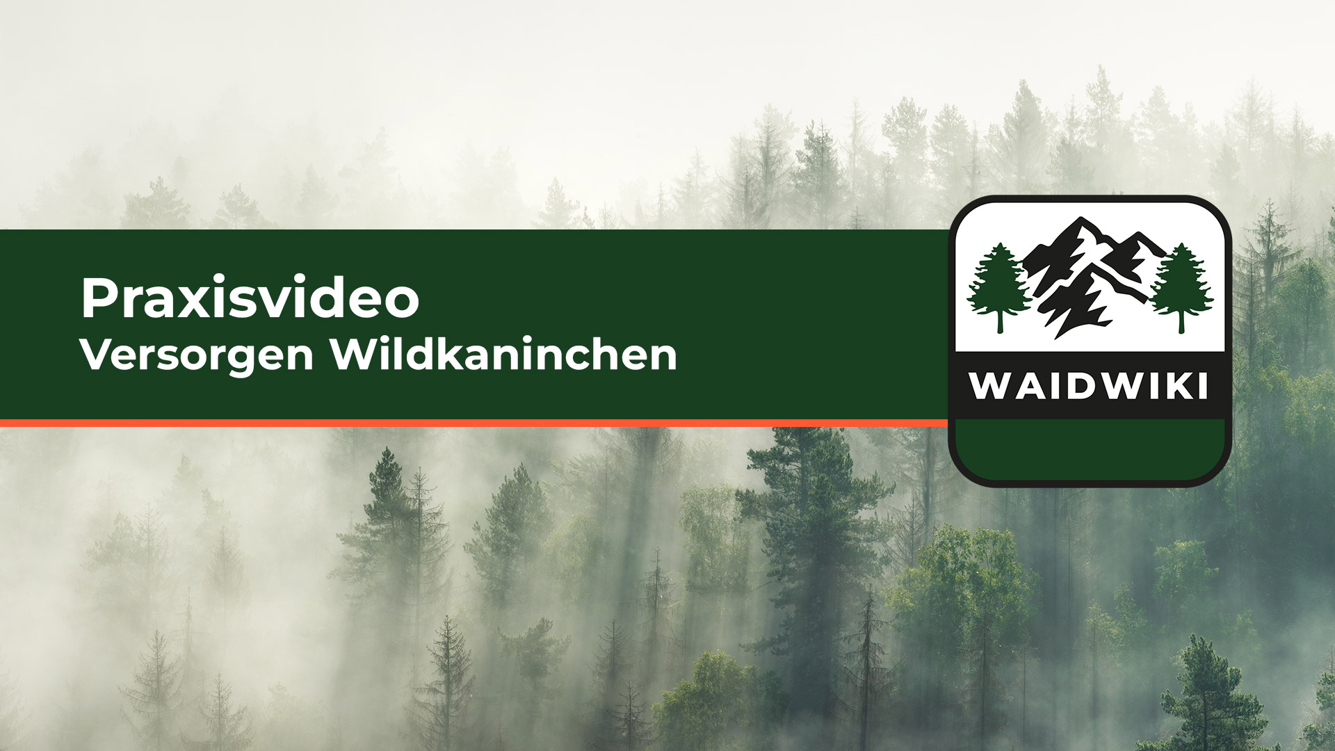 Versorgen Wildkaninchen - Praxisvideo