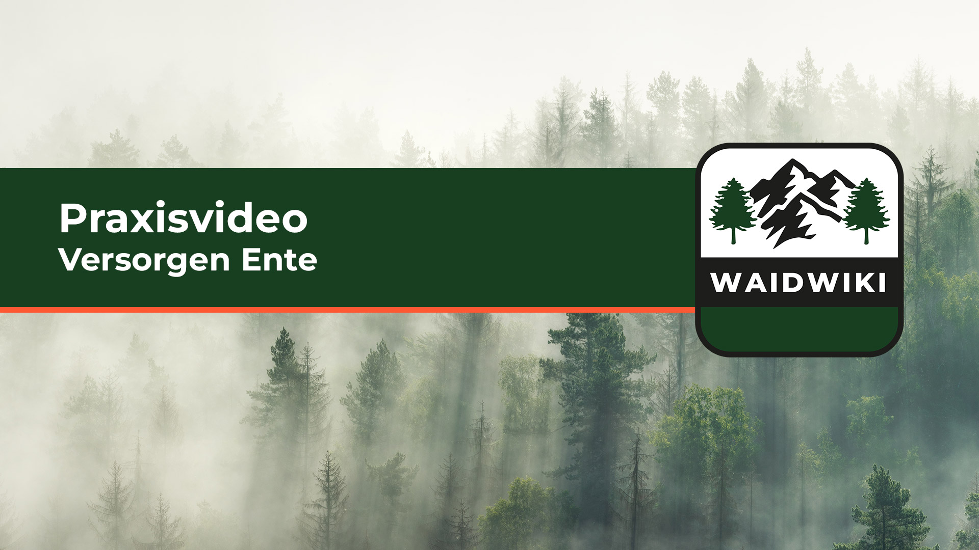 Versorgen Ente - Praxisvideo 