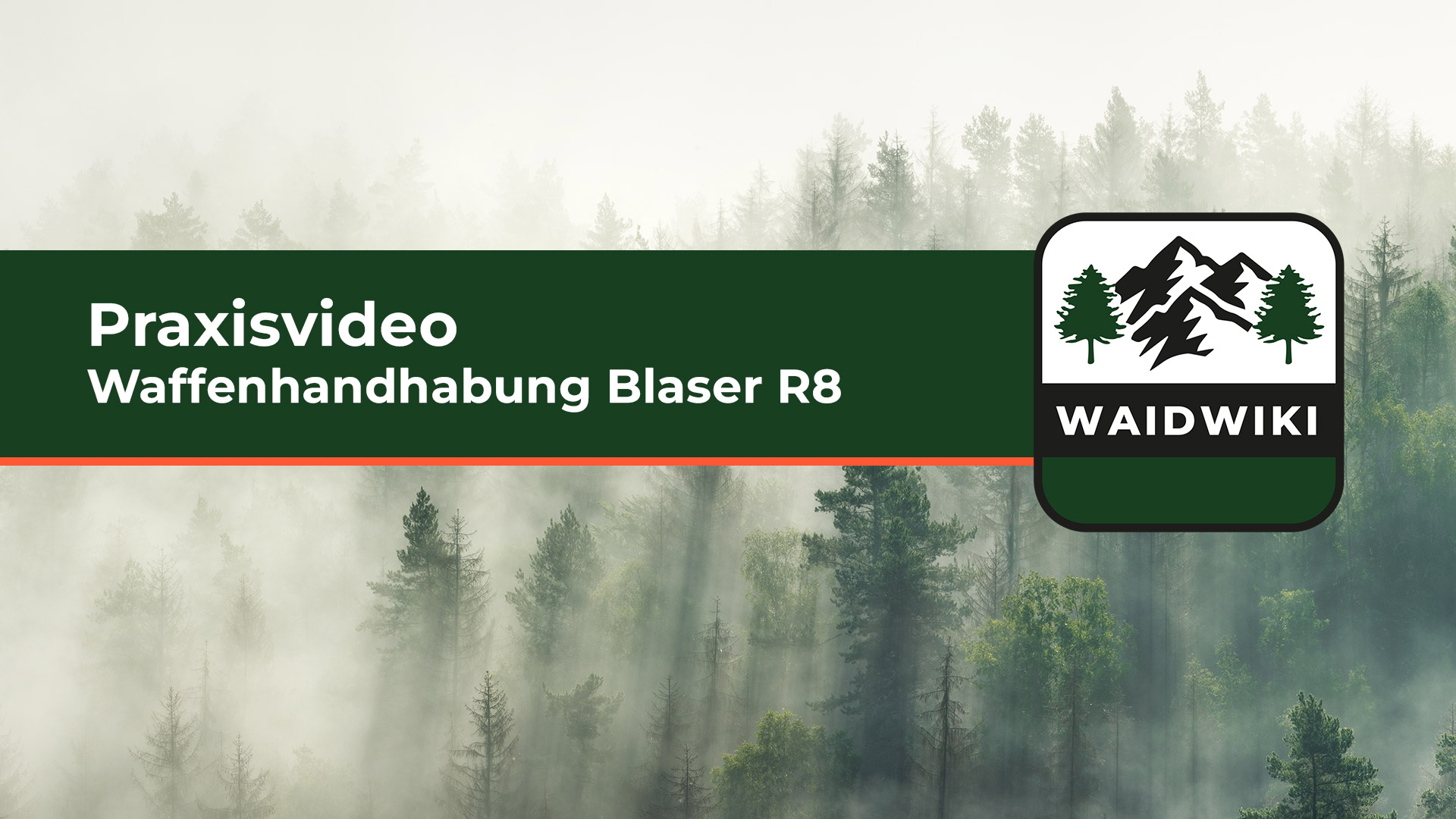 Waffenhandhabung Blaser R8 - Praxisvideo 