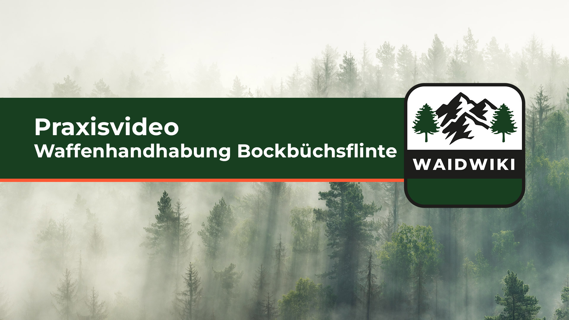 Waffenhandhabung Bockbüchsflinte - Praxisvideos