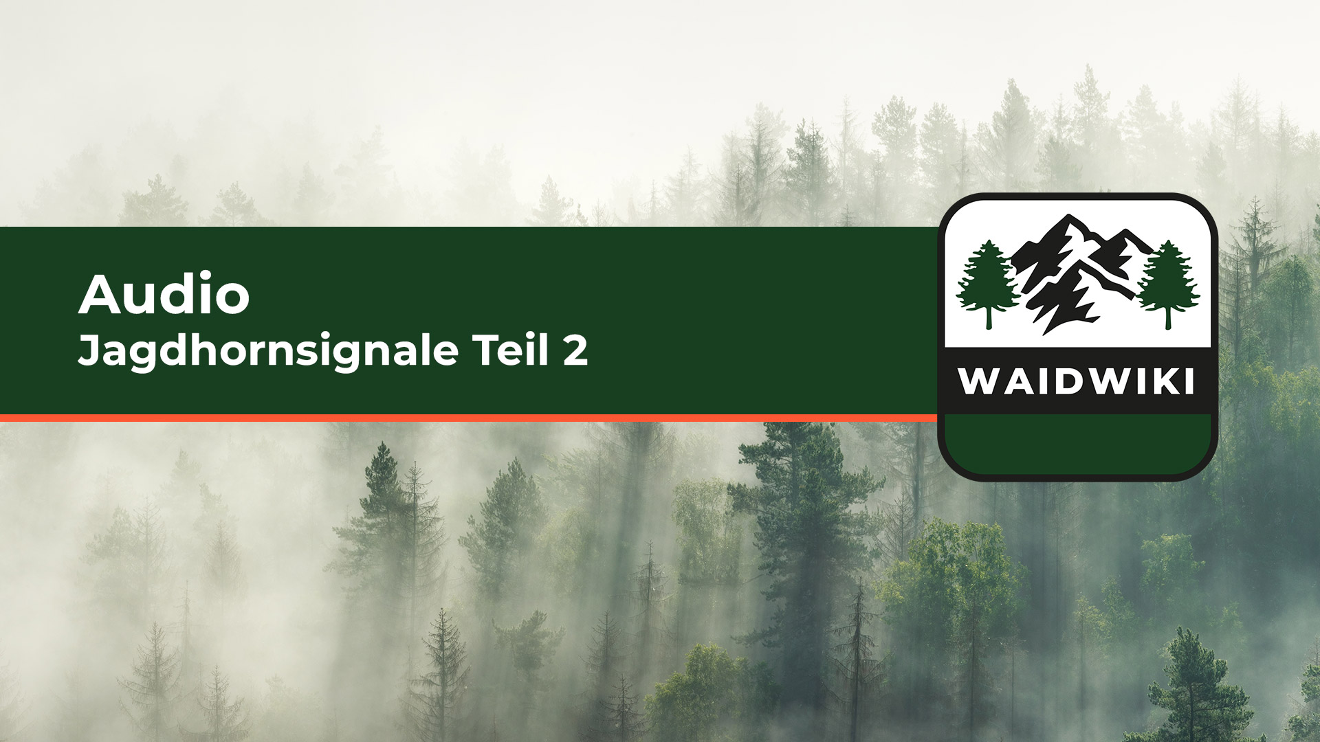 Jagdhornsignale Teil 2 Audio