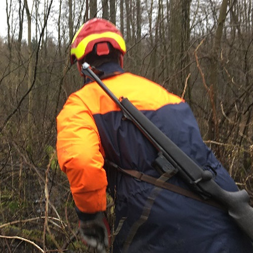 Langwaffen
