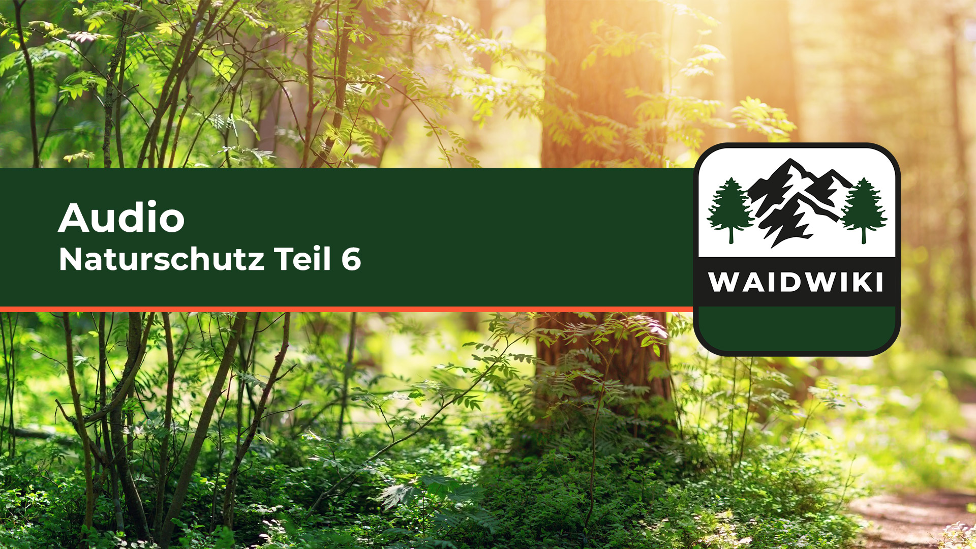 Naturschutz Teil 6 Audio