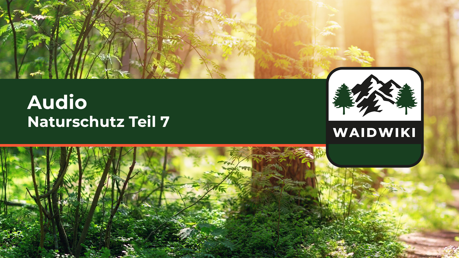Naturschutz Teil 7 Audio