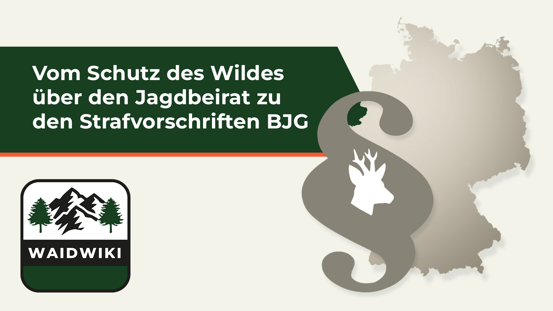 Vom Schutz des Wildes über den Jagdbeirat zu den Strafvorschriften BJG