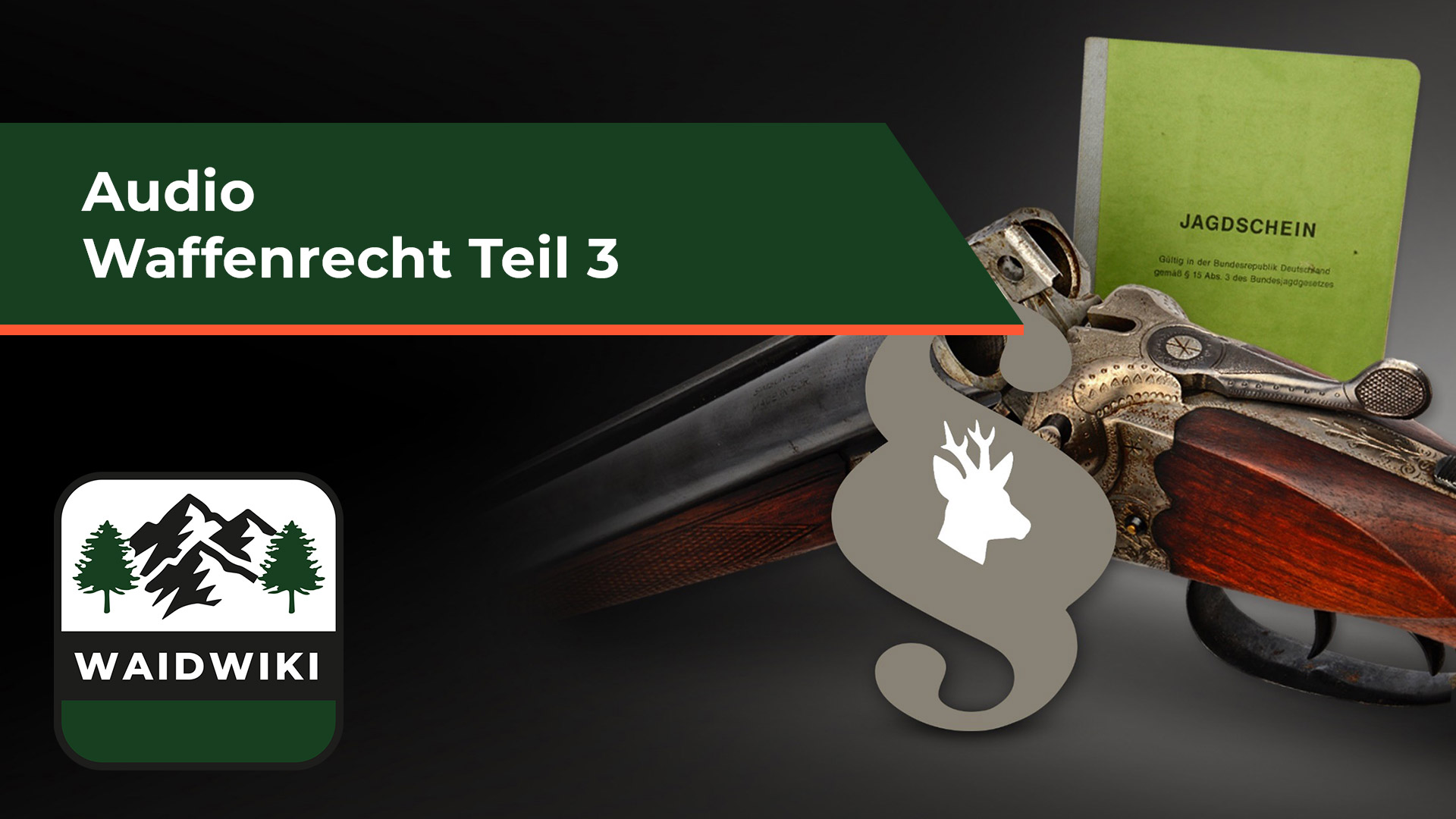 Waffenrecht Teil 3 Audio