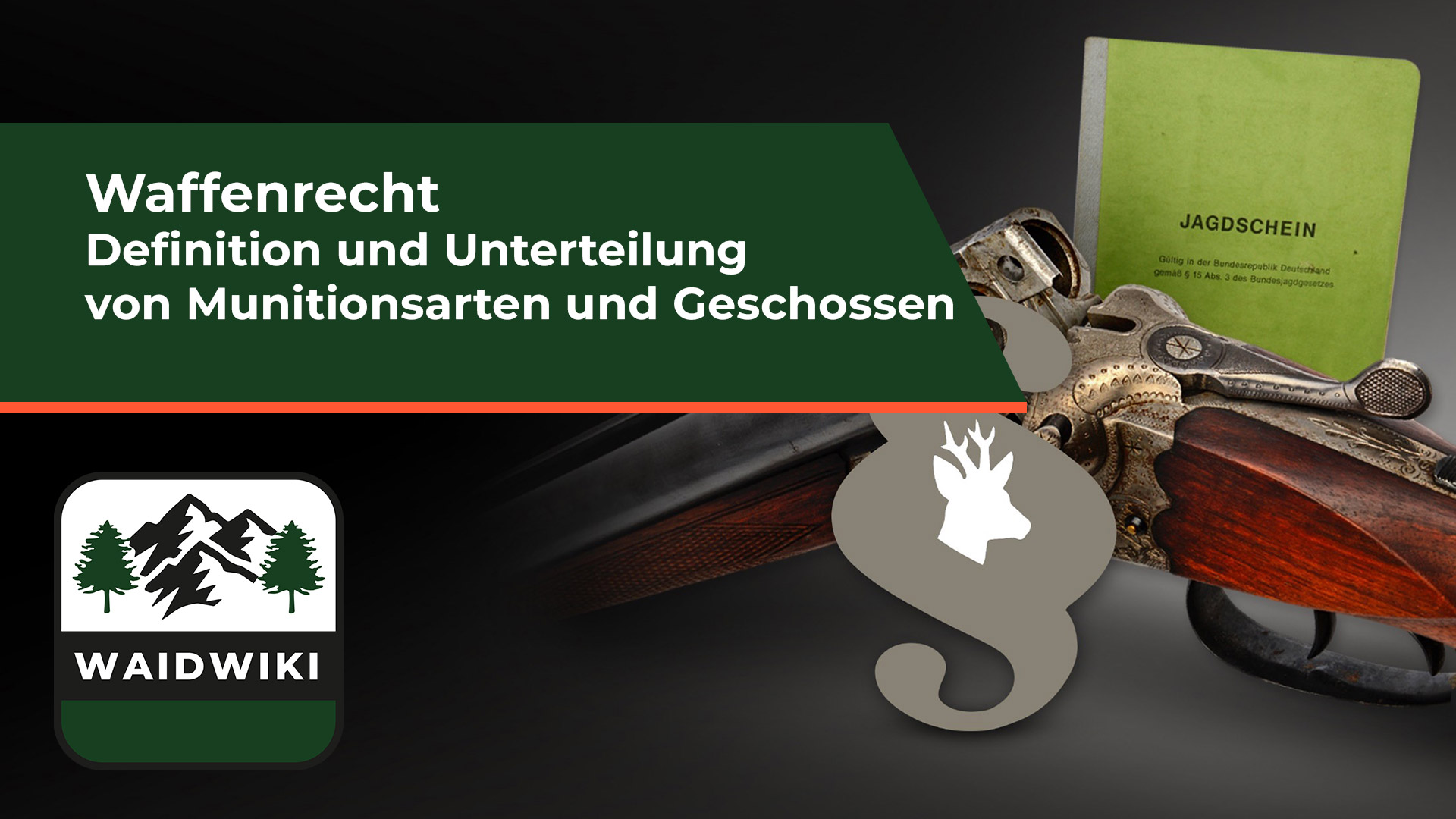 Definition und Unterteilung von Munitionsarten und Geschossen - Waffenrecht 