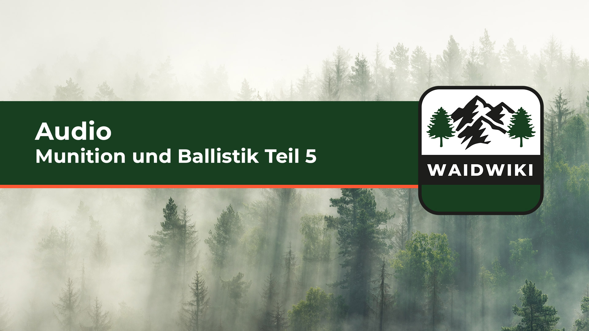 Munition und Ballistik Teil 5 Audio