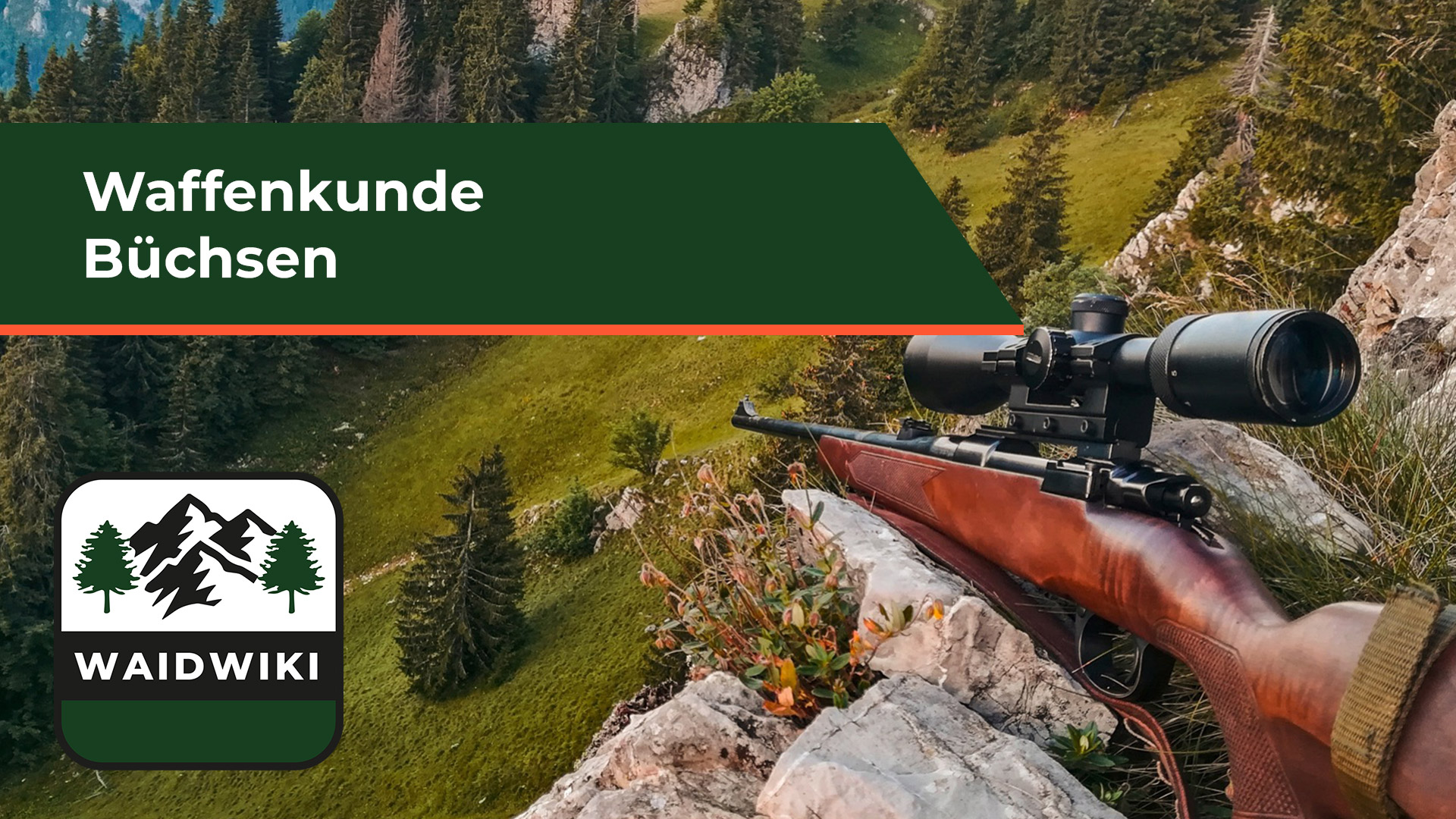 Büchsen - Waffenkunde 