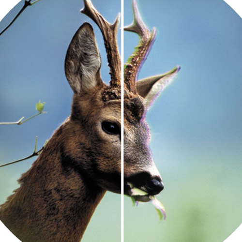 Grundlagen Optik