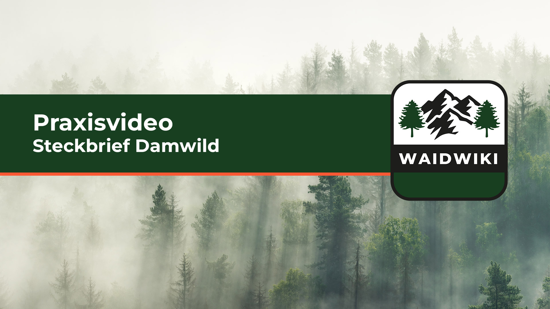 Steckbrief Damwild