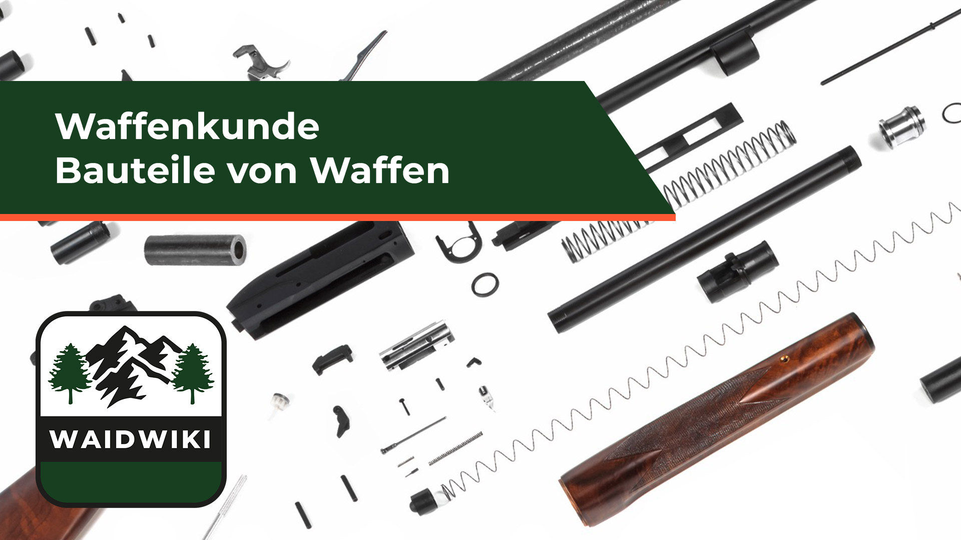 Bauteile von Langwaffen - Waffenkunde