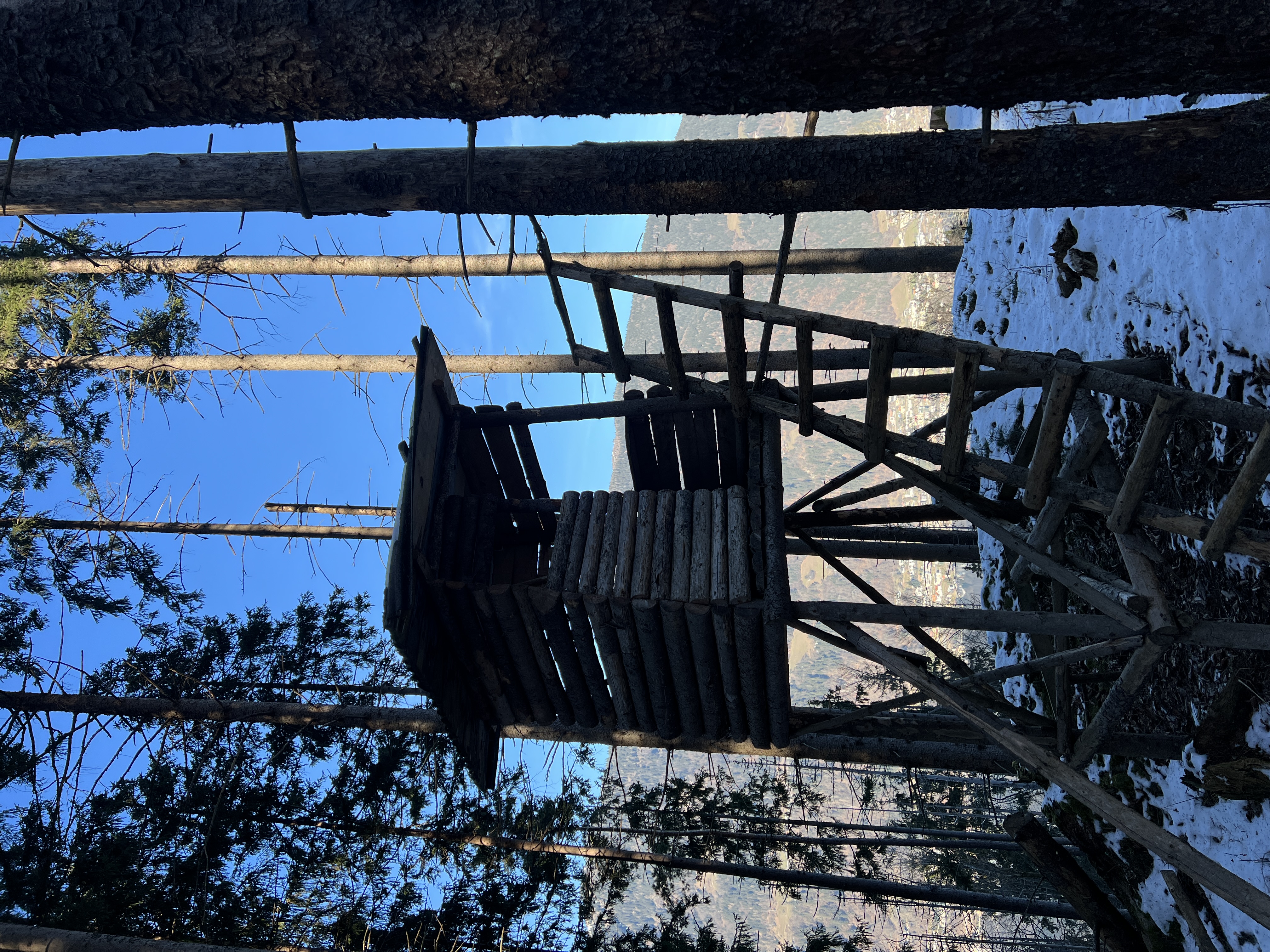 Grundlagen Jagdarten