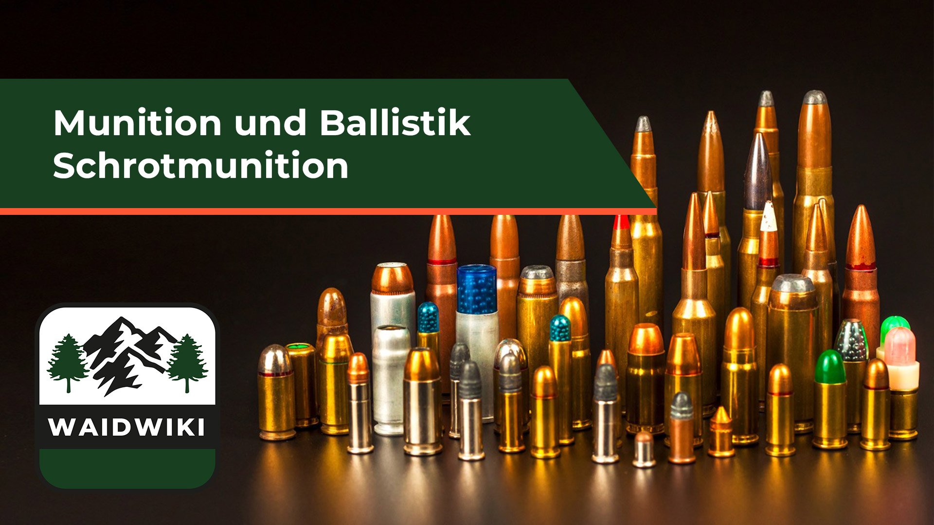 Schrotmunition - Munition und Ballistik 