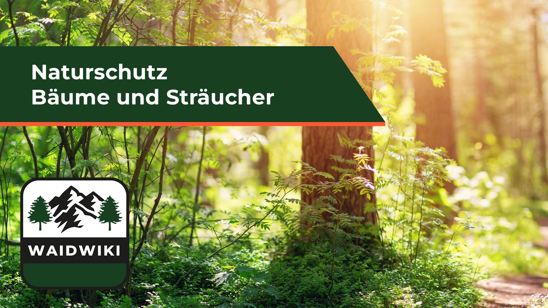 Bäume und Sträucher - Naturschutz