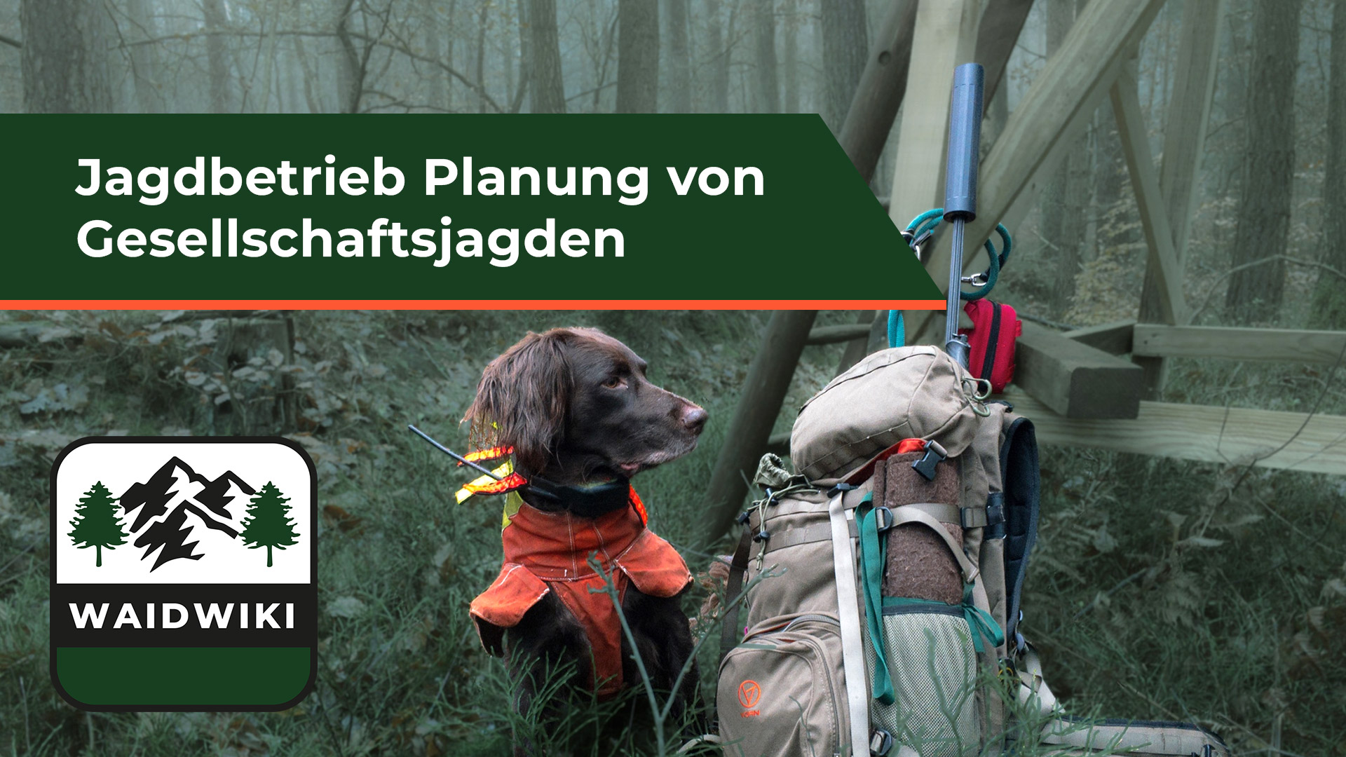Planung von Gesellschaftsjagden - Jagdbetrieb
