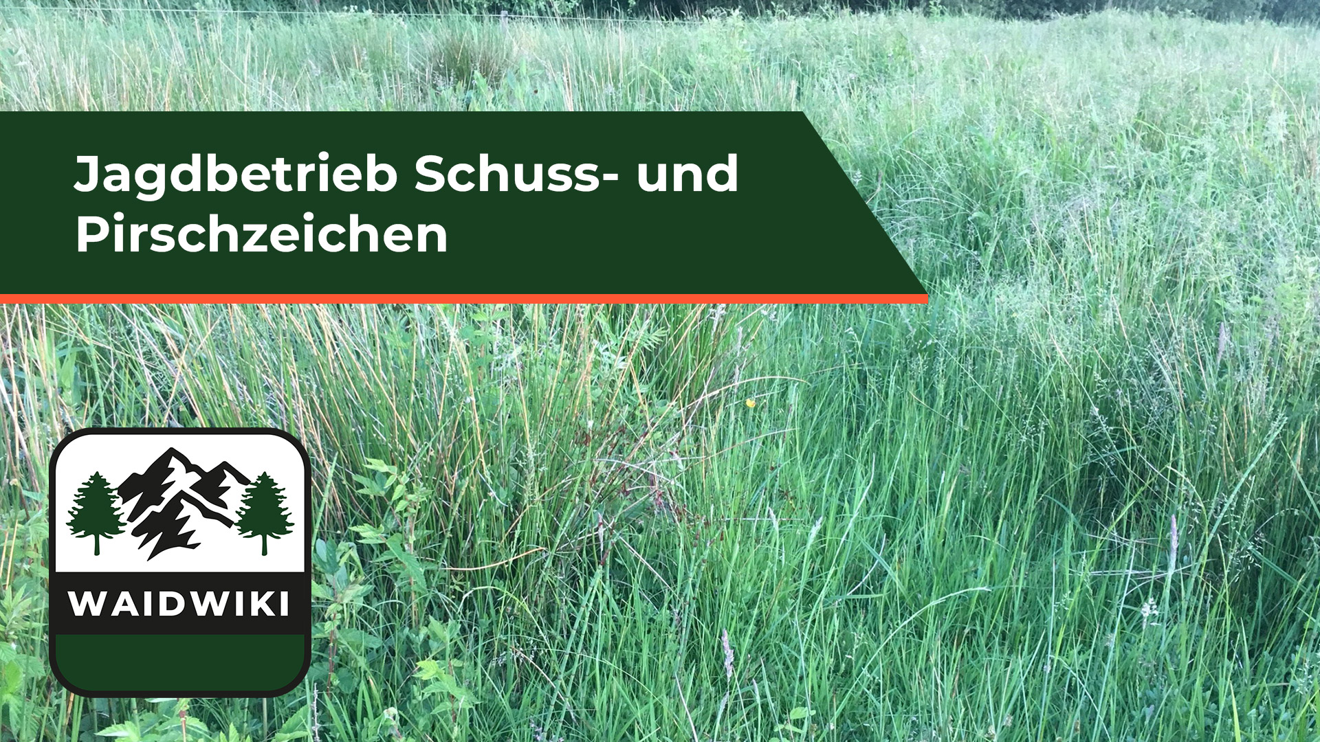 Schuss- und Pirschzeichen - Jagdbetrieb