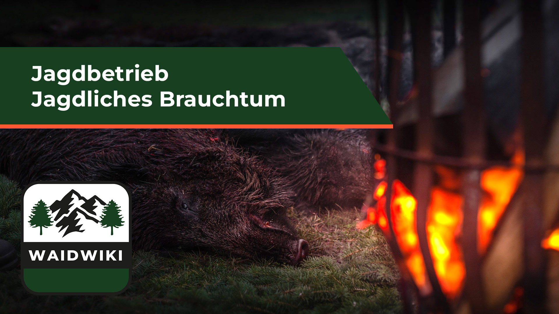 Jagdliches Brauchtum - Jagdbetrieb