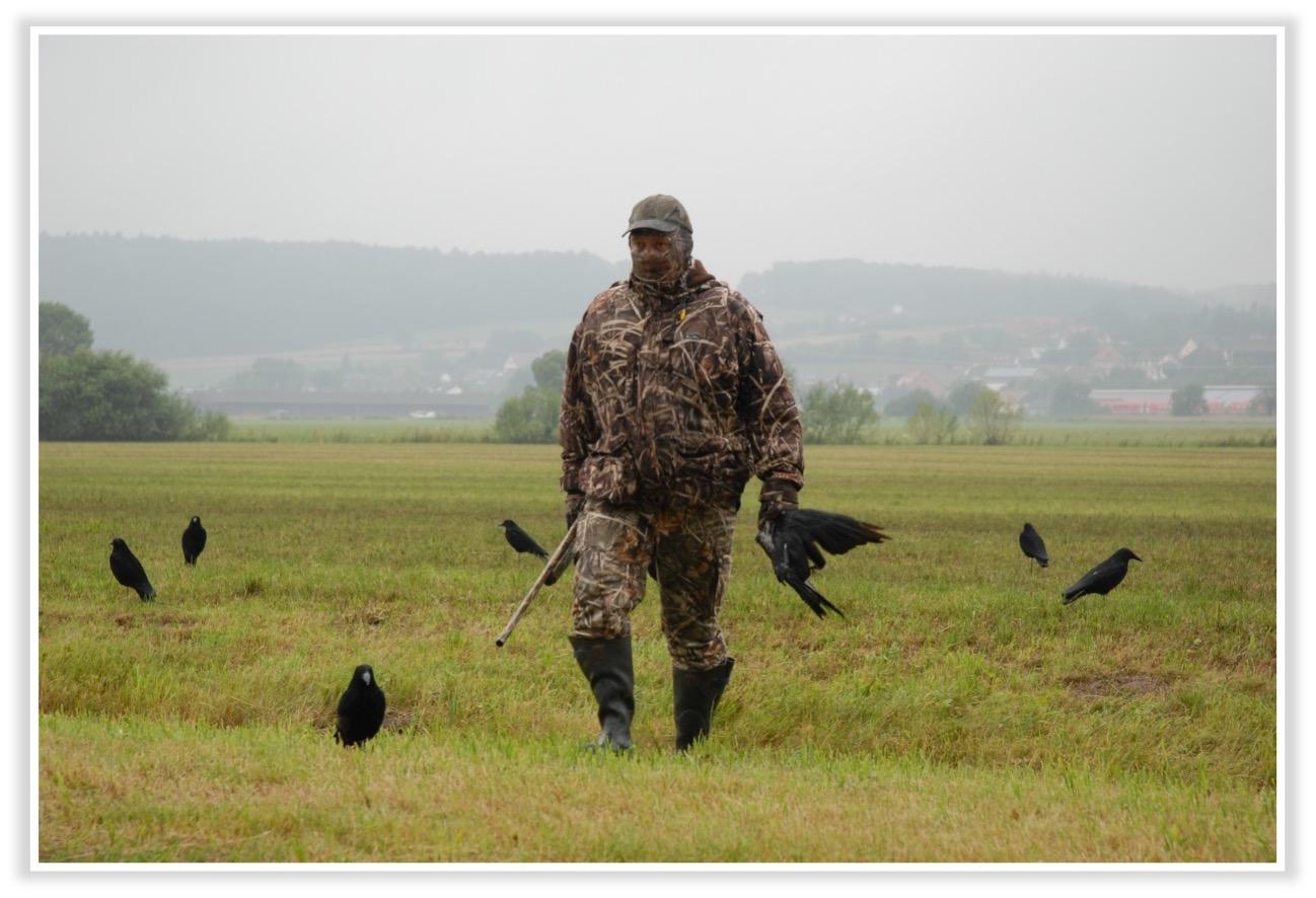Krähenjagd mit Lockbild<br>