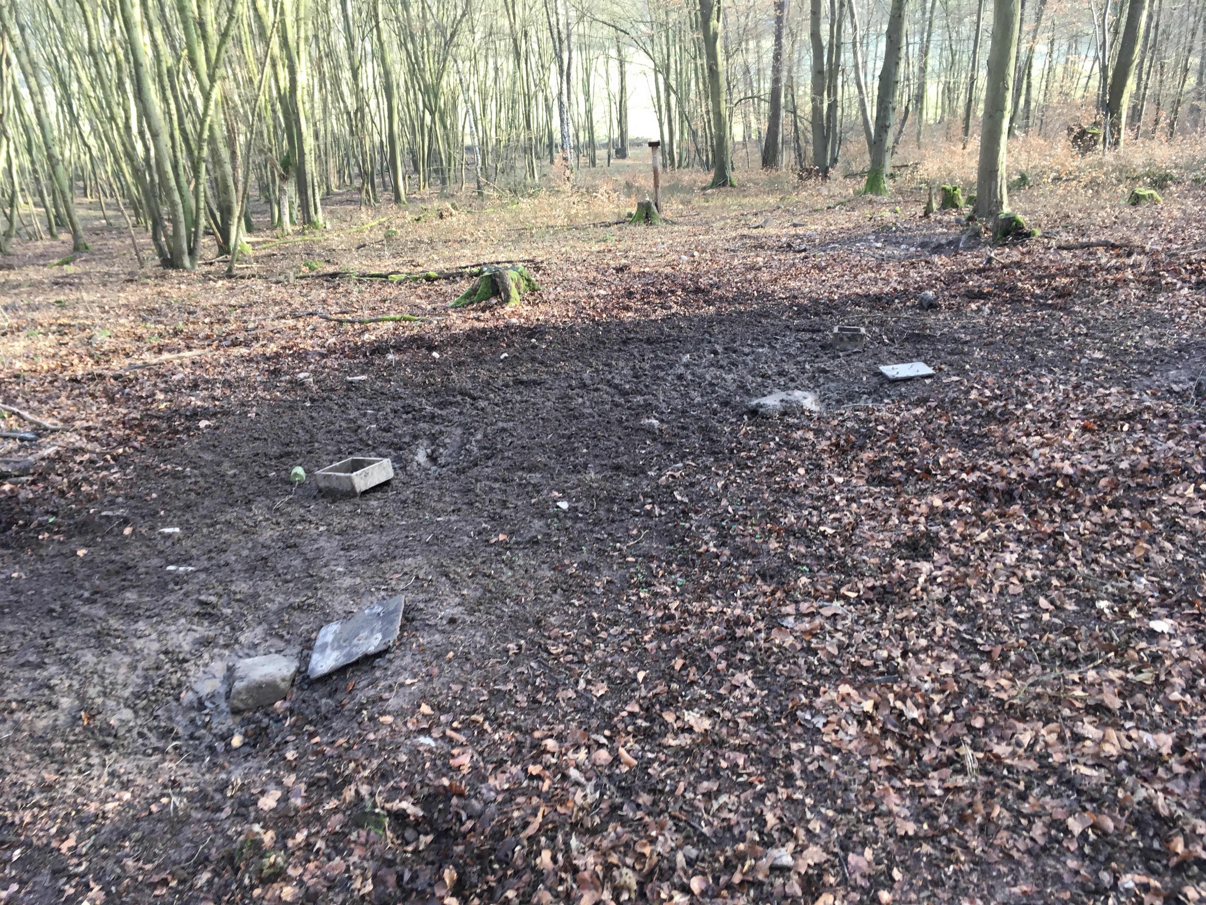 Kirrung im Wald