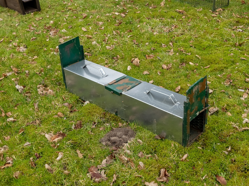 Kastenfalle aus Metall