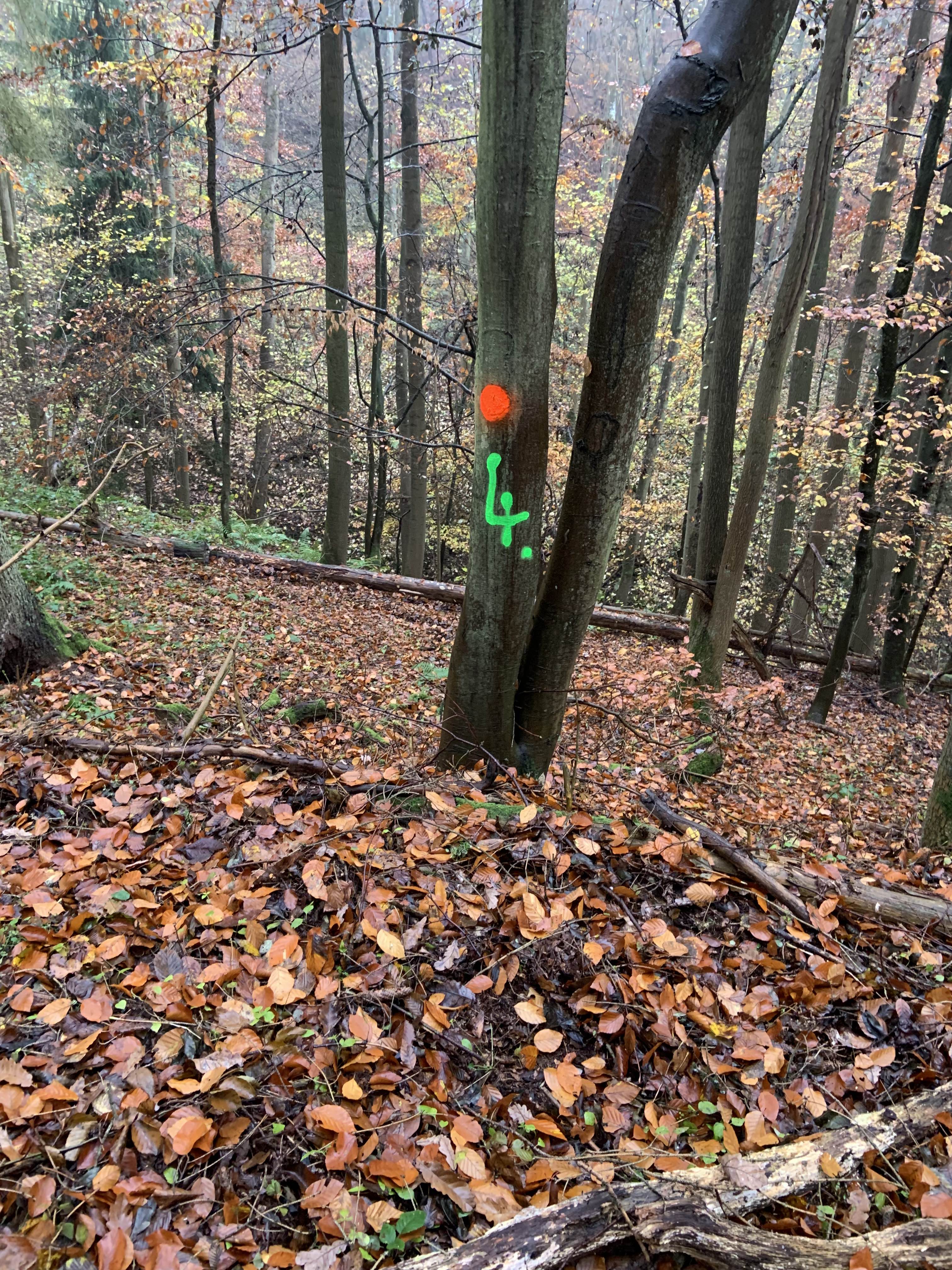 Standmarkierung auf der Drückjagd