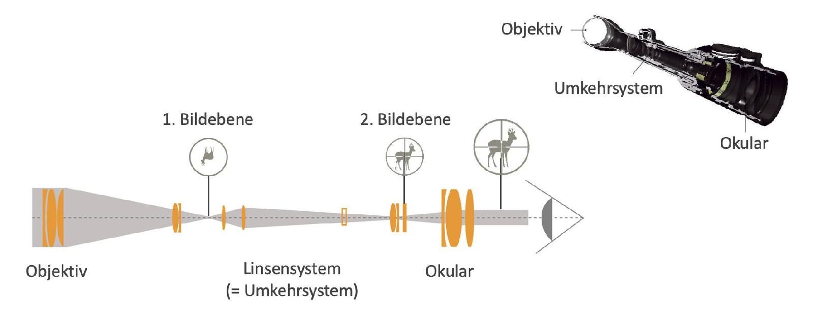 Funktionsweise Zielfernrohr<br>
