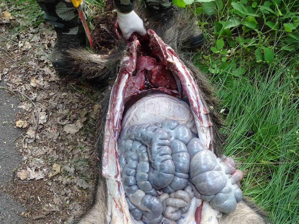 Aufbrechen im liegen <br>