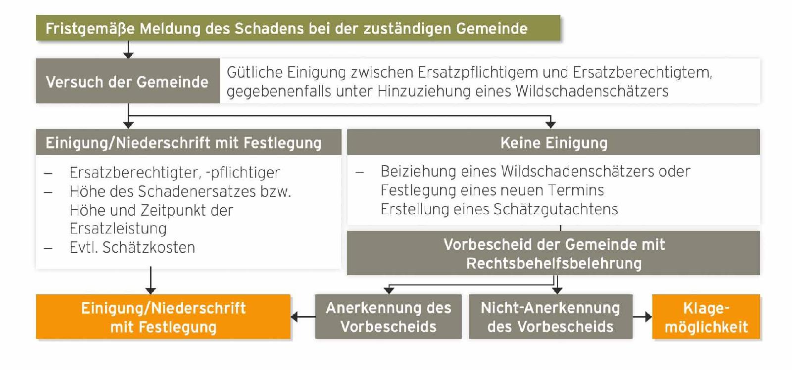 Jagdschaden und Wildschaden