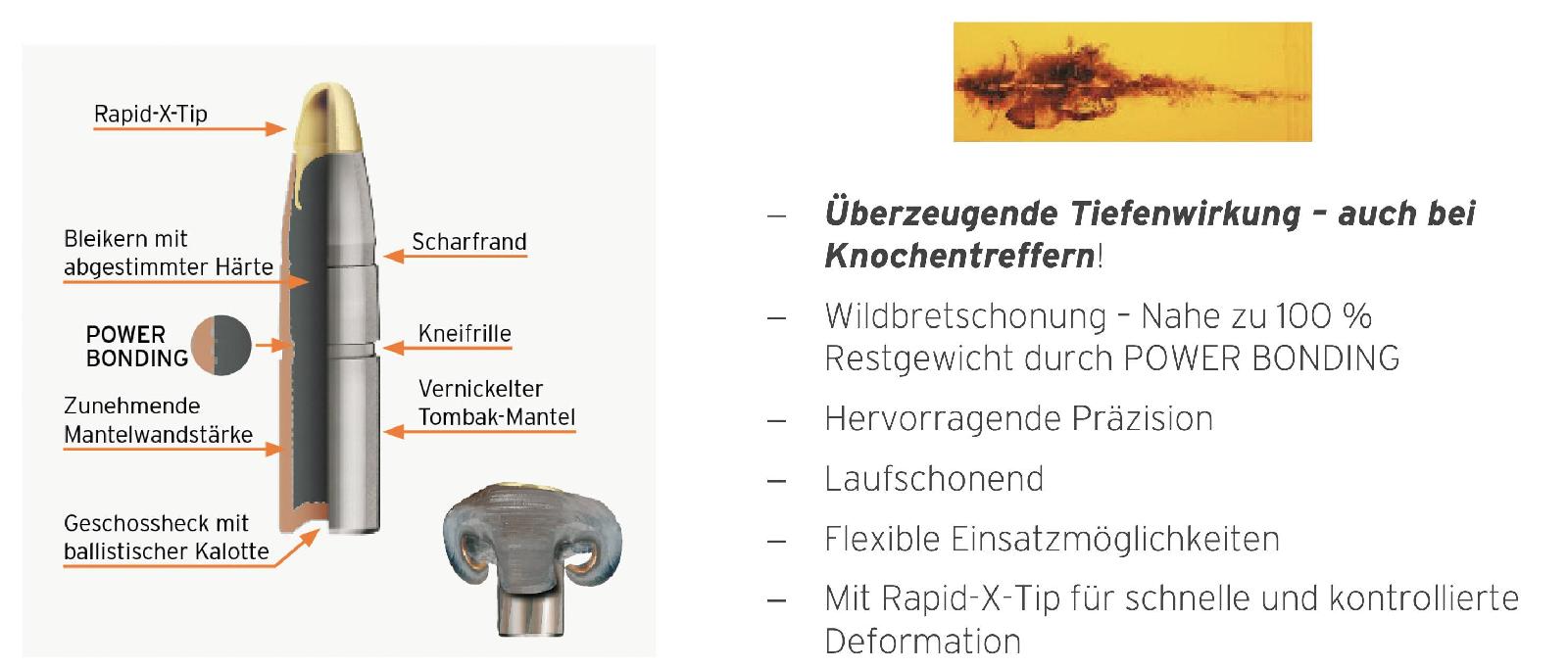 Evolution-Geschoss