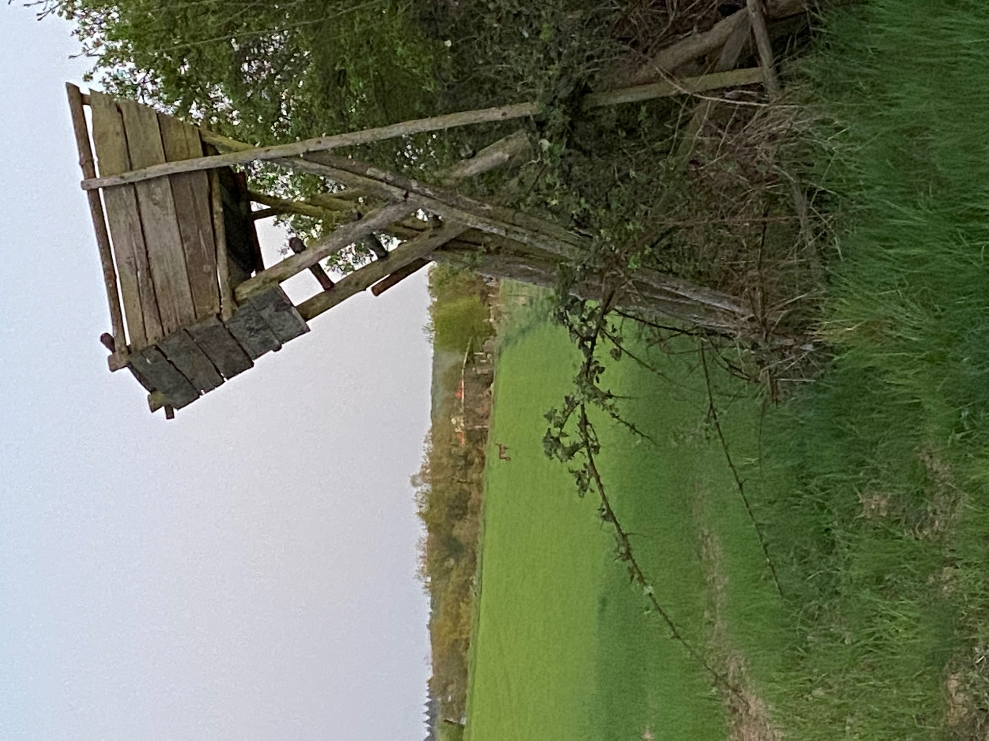 Scherenleiter - Achtung baufällig