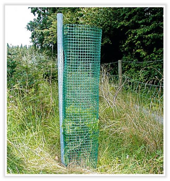Einzelschutzmaßnahmen <br>