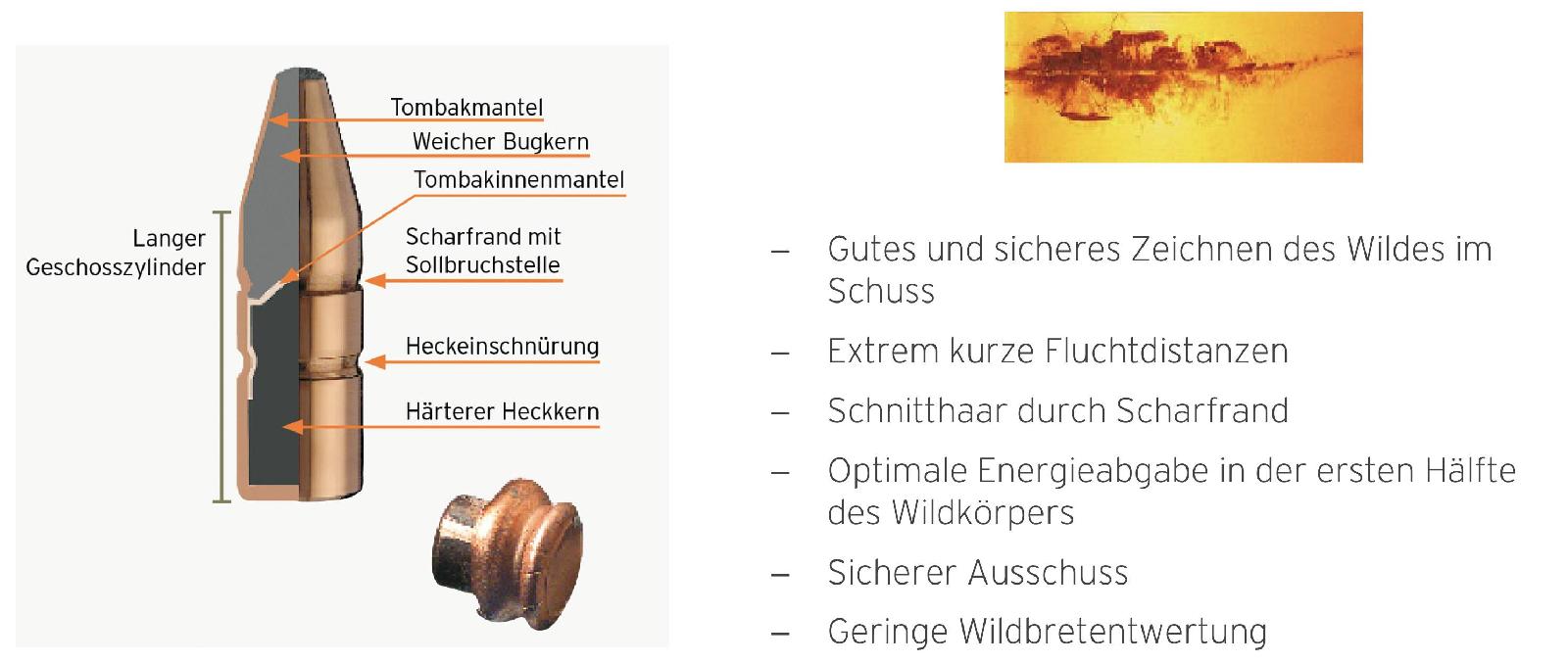 Doppelkern-Geschoss