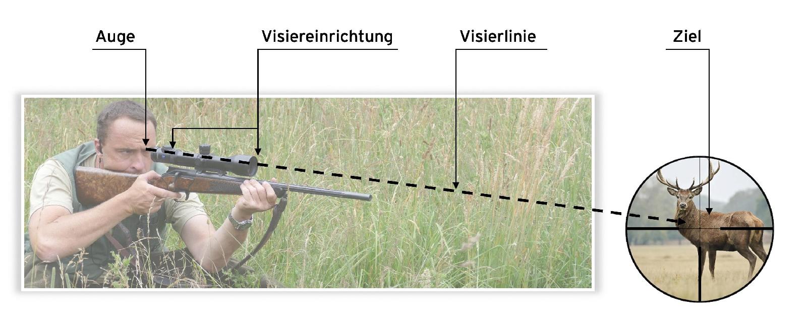 Zielen
