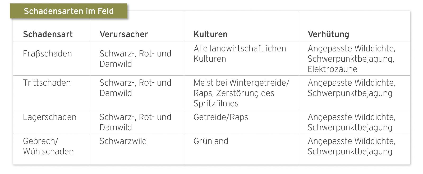 Schäden im Feld