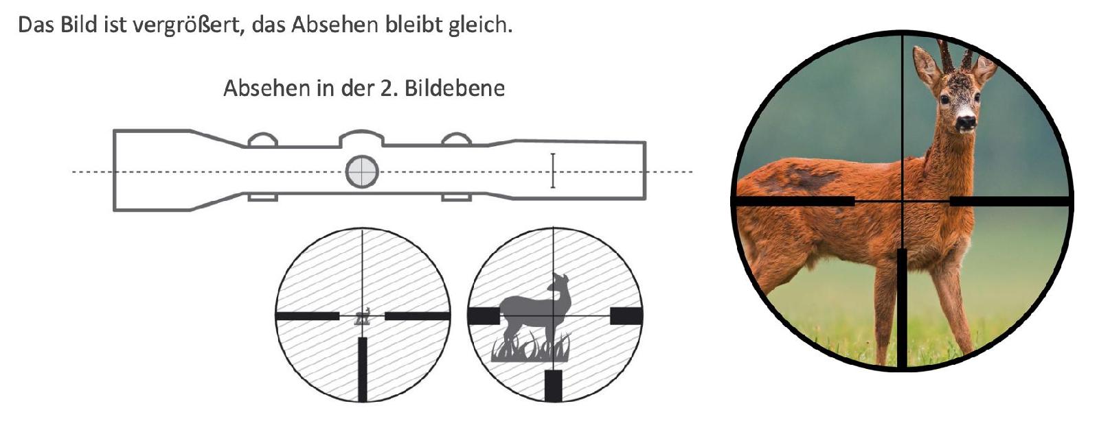 zweite Bildebene - Okkularbildebene <br>