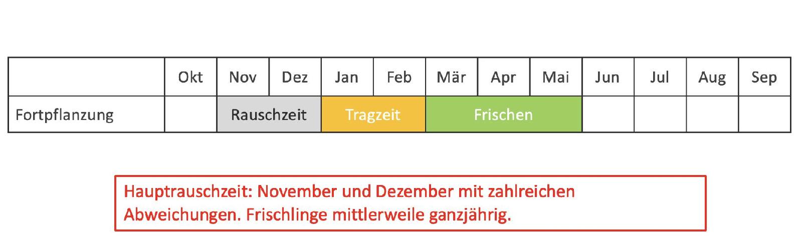 Jahresverlauf Schwarzwild - Die Tragzeit beträgt: 3 Monate, 3 Wochen und 3 Tage