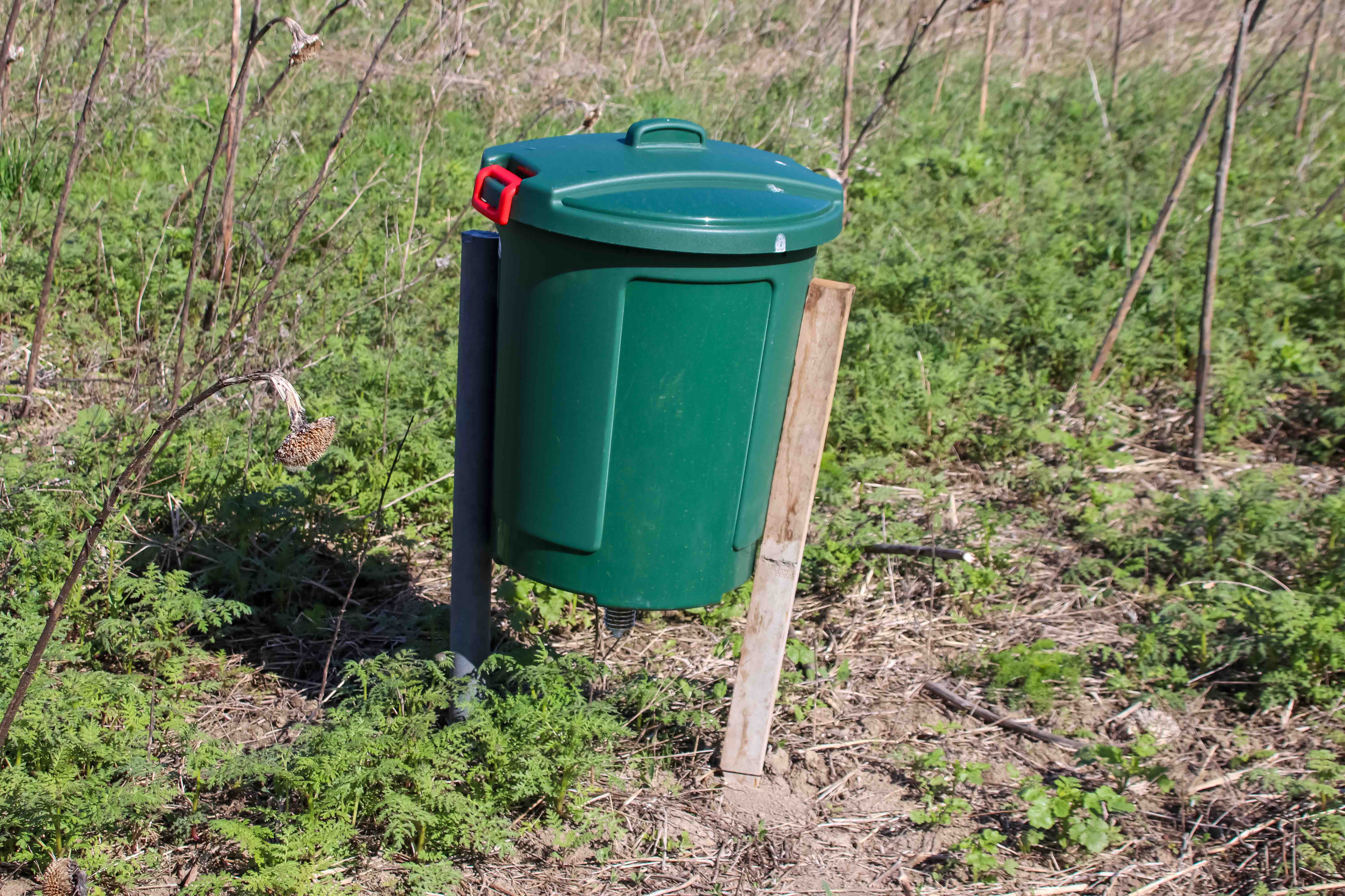 Fütterung Niederwild <br>