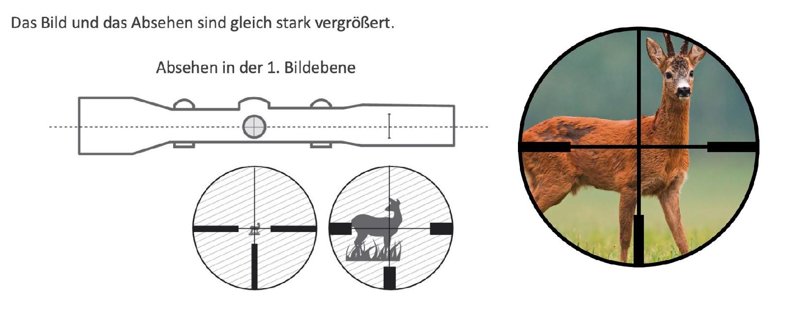 erste Bildebene - Objektivbildebene <br>