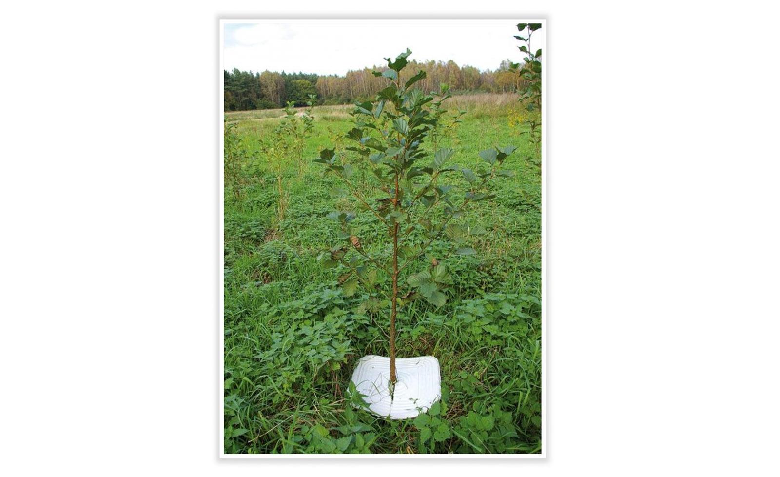 Mulchplatte