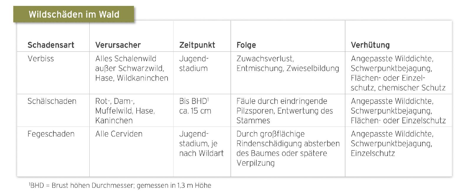 Schäden im Wald